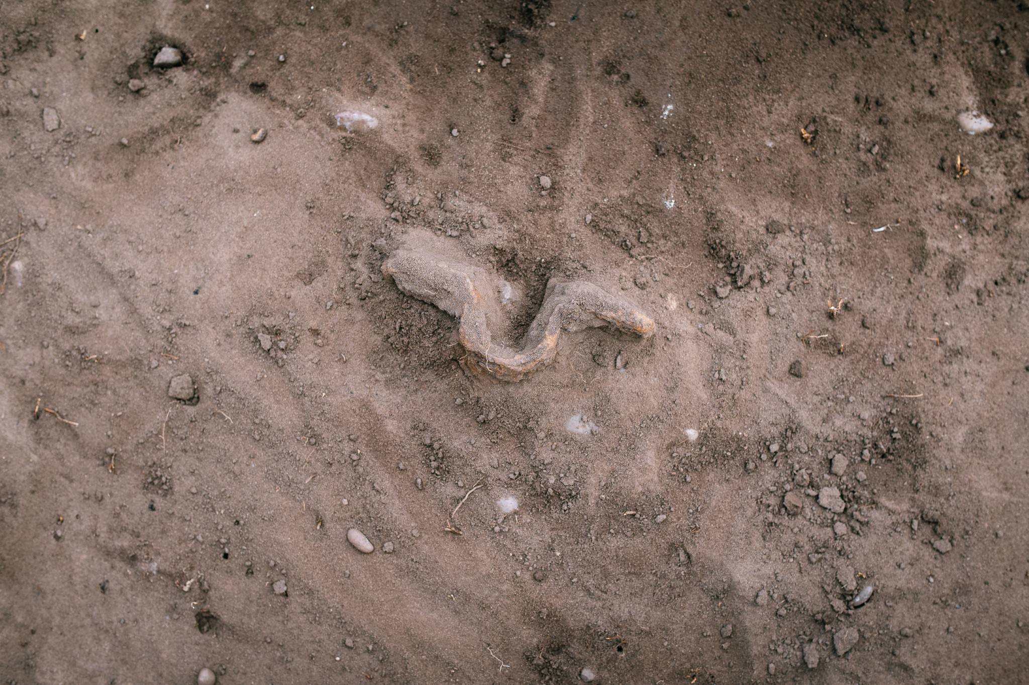 close up of a shaped metal find in the ground